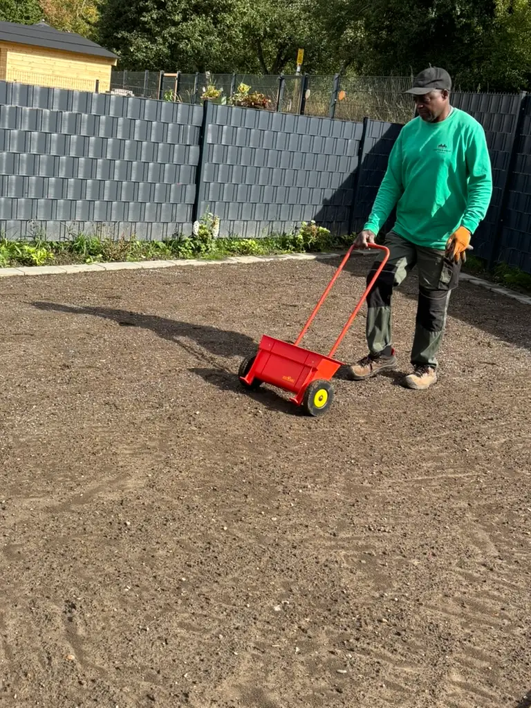 Mitarbeiter verteilt Rasendünger mit einem Streuwagen auf einer frisch vorbereiteten Fläche